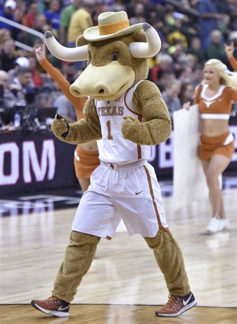 The Marketing Potential of Steer Mascot Uniforms